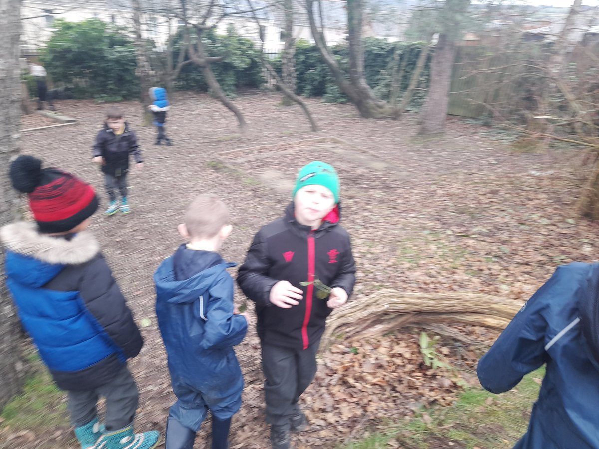 forestschoolbps's tweet photo. We have used natural resources to create a pictogram of our bird watching results. @YearTwoBPS @Blackwood_PS https://t.co/38akaPiyXQ