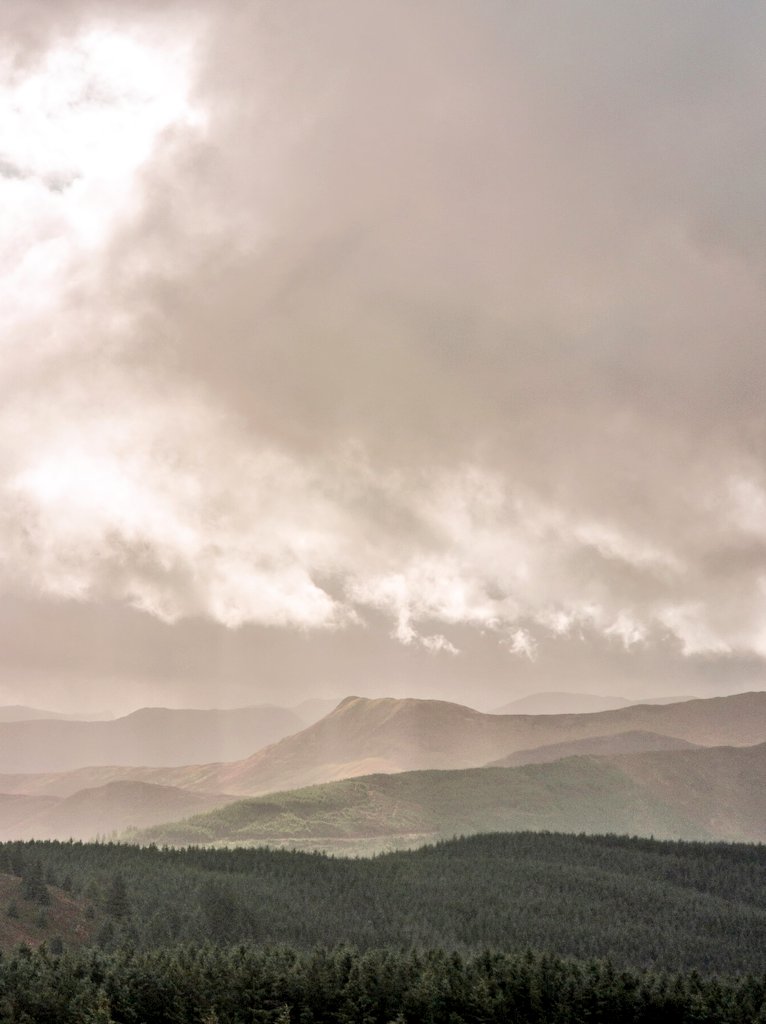 Patsd🪐 tweet media