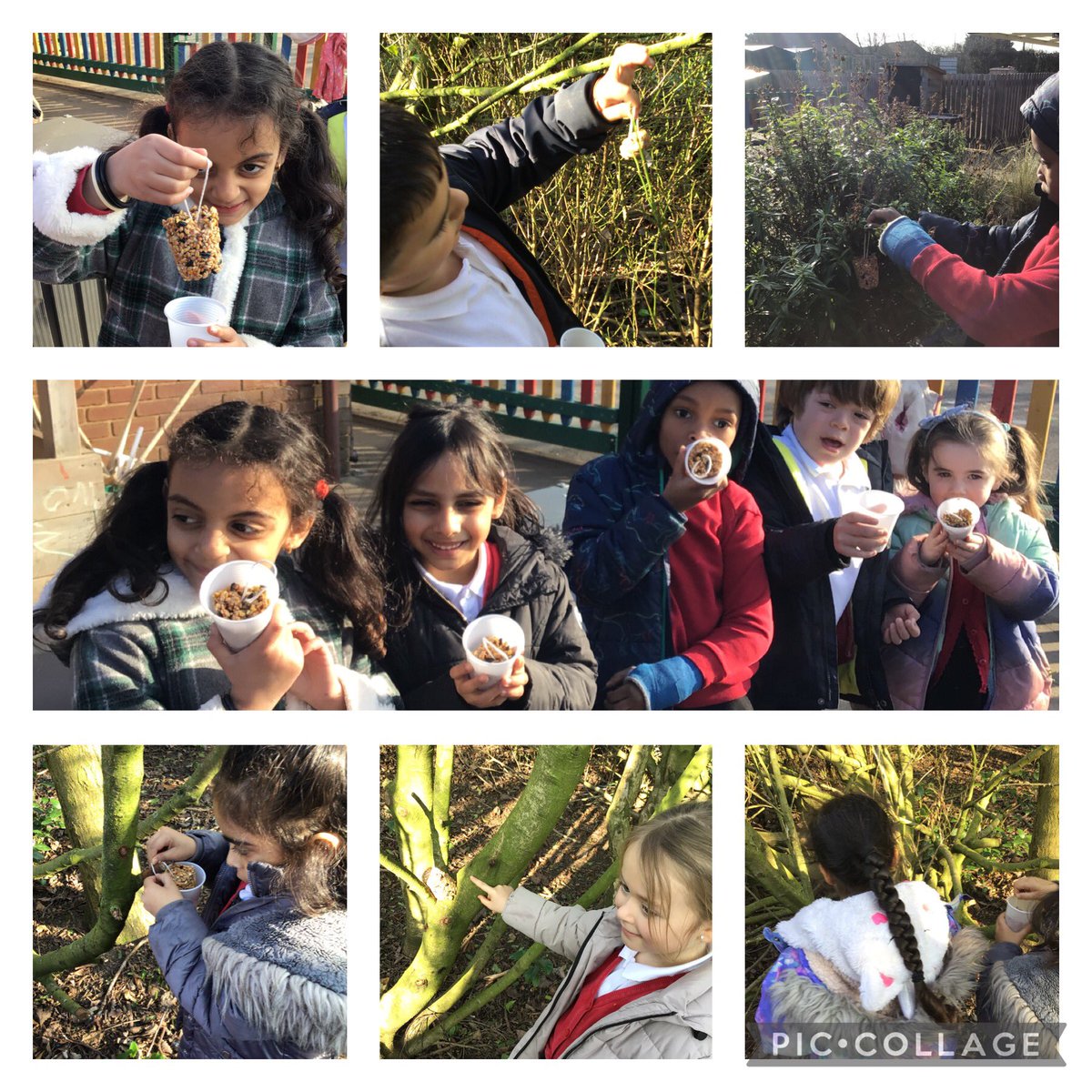Last week the children enjoyed making bird feeders as part of their Science lesson, today we went out to put them out. We will check tomorrow to see if the birds liked their treat <a href="/kestrelmead/">Kestrel Mead Primary Academy</a>