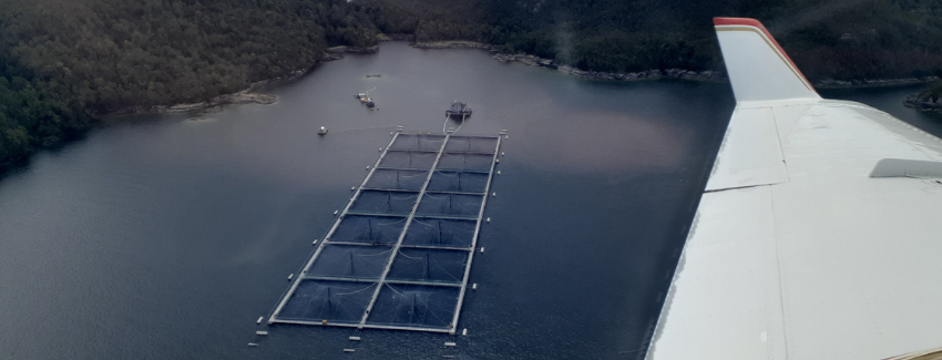 IPesqueras's tweet photo. #Chile 🇨🇱 | @sernapesca descarta alerta por algas nocivas en la región de Los Lagos

👉 @ifop_periodista señala que aunque puedan presentarse microalgas en "sectores muy específicos", no dificultan el ejercicio de la pesca y la acuicultura

https://t.co/yy9LAW02di https://t.co/AGPnWIsYHq