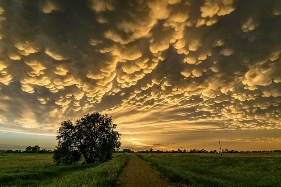 CloudCup2's tweet photo. Mammatus (left), Eruption Cloud (right) https://t.co/WuDm0wVL3Q