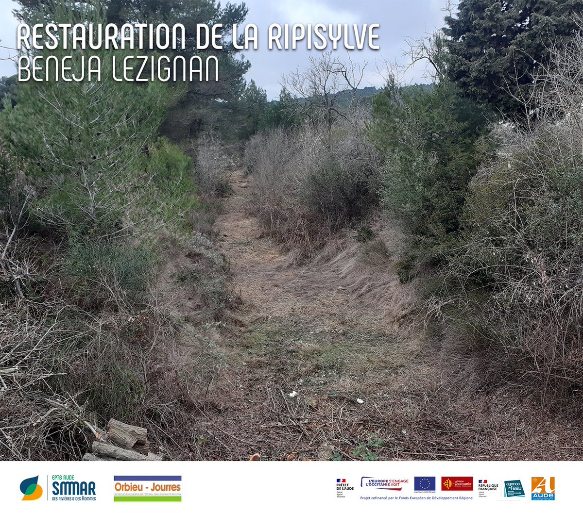 smmar_aude's tweet photo. TRAVAUX | La restauration de la #ripisylve au service de la #biodiversité &amp; de la prévention des #inondations sur le bassin versant de l’Orbieu Jourres : 40 km de linéaire de cours d'#eau seront traités cette année par le Syndicat de l'Orbieu !🍃#SMMAR #EPTB #riviere https://t.co/bXeB03vU71