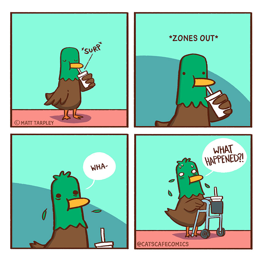 Duck 🦆 