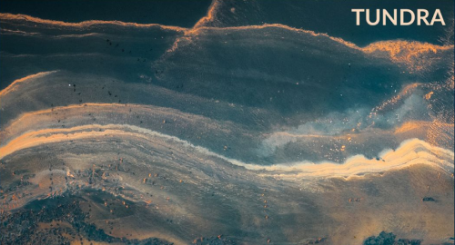 bass_blog's tweet photo. #liquid #dnb #mix Tundra - Wildlife Analytics Vol.1 [Jan.2023] https://t.co/yla1CWQQac https://t.co/3AmBaHMTDI