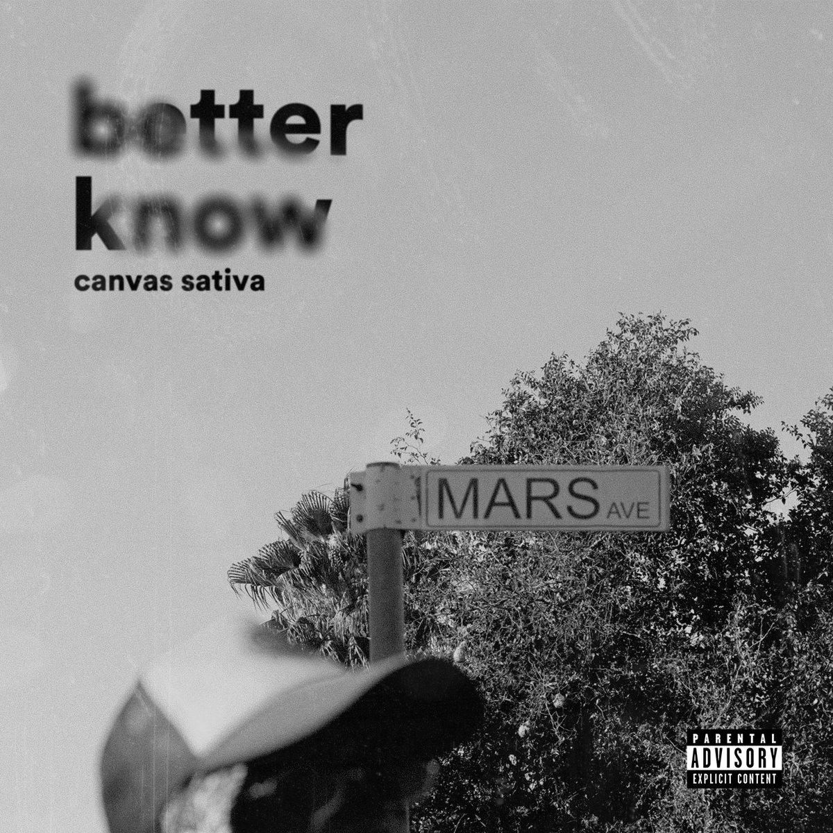 canvas_sativa's tweet photo. I'M DROPPING NEW MUSIC THIS THURSDAY. 🤴🏾🖤

"BETTER KNOW" (PROD. BY CANVAS SATIVA) 

OUT ON DIGITAL PLATFORMS 
• 16 FEB 2023 🎯 

RT FOR AWARENESS 🙏🏿 https://t.co/CIrKF4SudL
