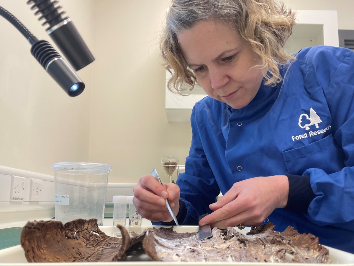 Forest Research tweet media