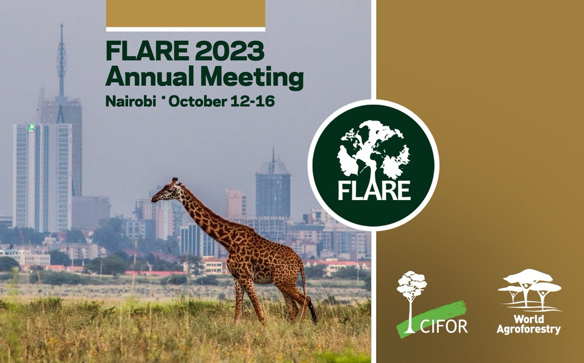 FLARE Network (@flareglobal) on Twitter photo We are thrilled to announce that this year's FLARE Network Annual Meeting will be hosted by <a href="/CIFOR/">CIFOR</a>-<a href="/ICRAF/">World Agroforestry</a> in Nairobi, October 12-16. Please save the date!
Stay tuned here for further information: forestlivelihoods.org/annual-meeting…
<a href="/KeoughGlobalND/">Keough School of Global Affairs</a> We are thrilled to announce that this year's FLARE Network Annual Meeting will be hosted by <a href="/CIFOR/">CIFOR</a>-<a href="/ICRAF/">World Agroforestry</a> in Nairobi, October 12-16. Please save the date!
Stay tuned here for further information: forestlivelihoods.org/annual-meeting…
<a href="/KeoughGlobalND/">Keough School of Global Affairs</a>