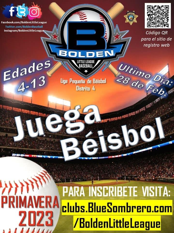 Liga Mexicana de Beisbol, Sitio Oficial