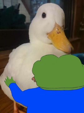 L1LO Δ tweet media