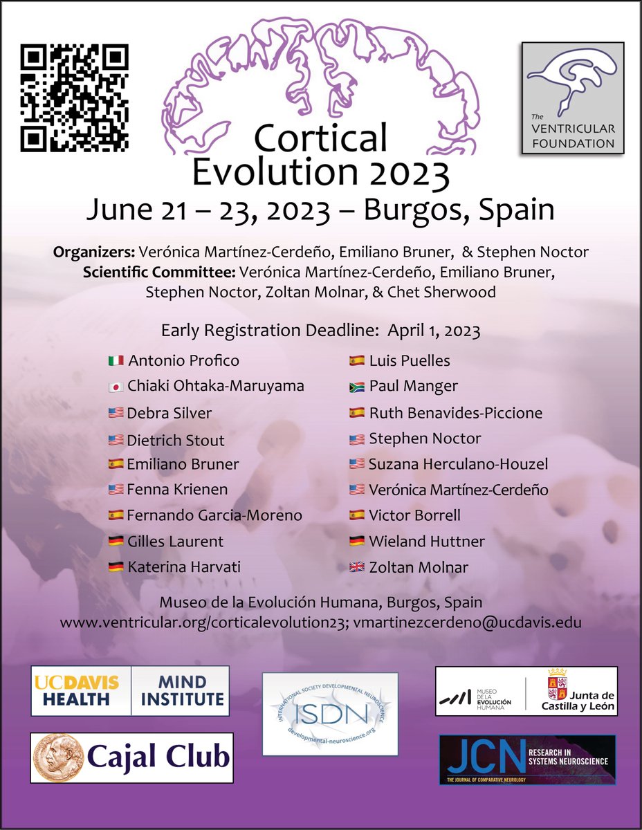 Suzana Herculano-Houzel (@suzanahh) on Twitter photo Come show and tell about cortical evolution in Burgos, Spain, June 21-23! I'll be there to talk about supply-limited brain function and evolution, and also to scout for papers, authors and reviewers for <a href="/JCompNeurol/">Journal of Comparative Neurology</a> ! Come show and tell about cortical evolution in Burgos, Spain, June 21-23! I'll be there to talk about supply-limited brain function and evolution, and also to scout for papers, authors and reviewers for <a href="/JCompNeurol/">Journal of Comparative Neurology</a> !
