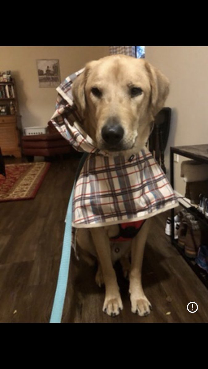 Adam Schwiebert tweet media