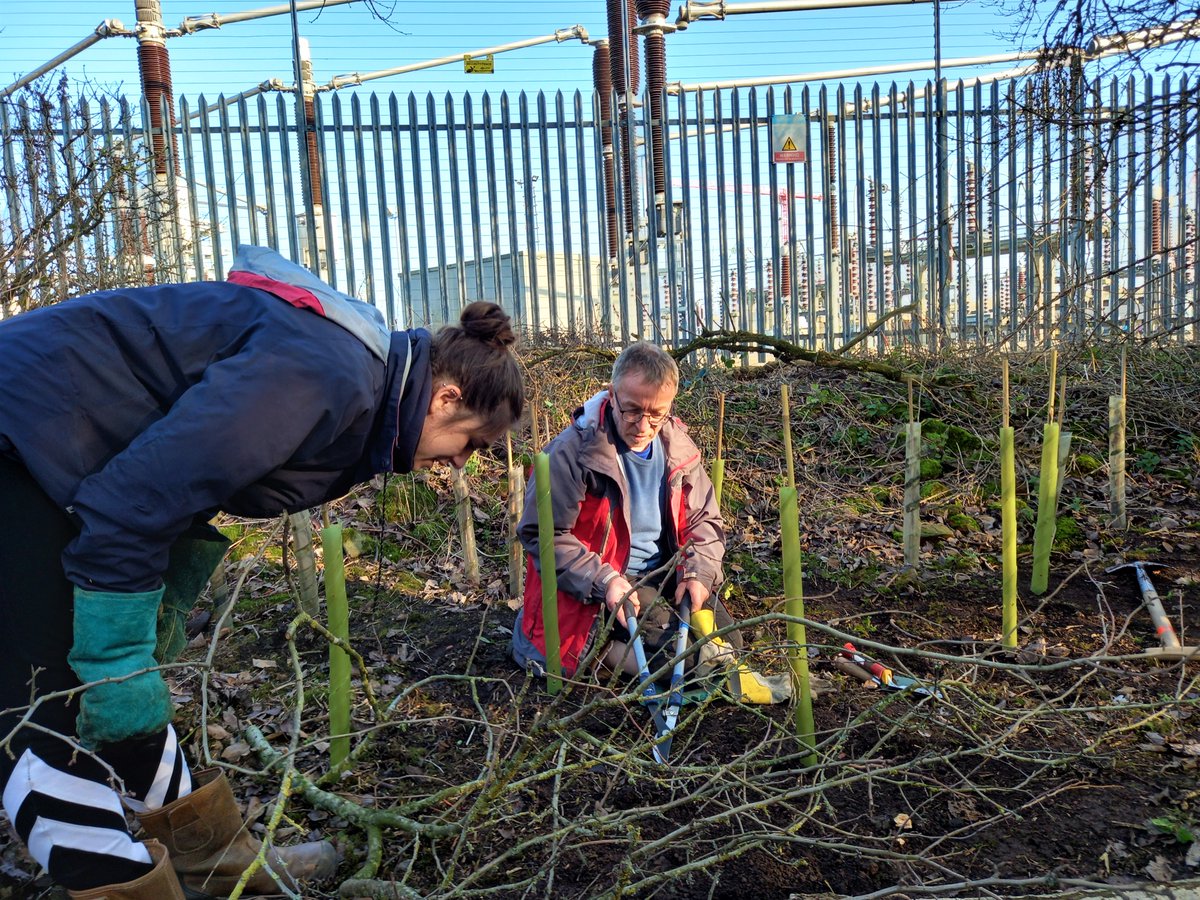 SkeltonGrange's tweet photo. We had another TREEmendous day at Green Gym, clearing brash and planting hawthorns in the Lost World.
To join us maintaining our beautiful nature site, email us on skelton@tcv.org.uk.
https://t.co/UskSfT1VtU
#volunteering #JoinInFeelGood #natureconnection #practicalconservation https://t.co/AbIRL2dSiu