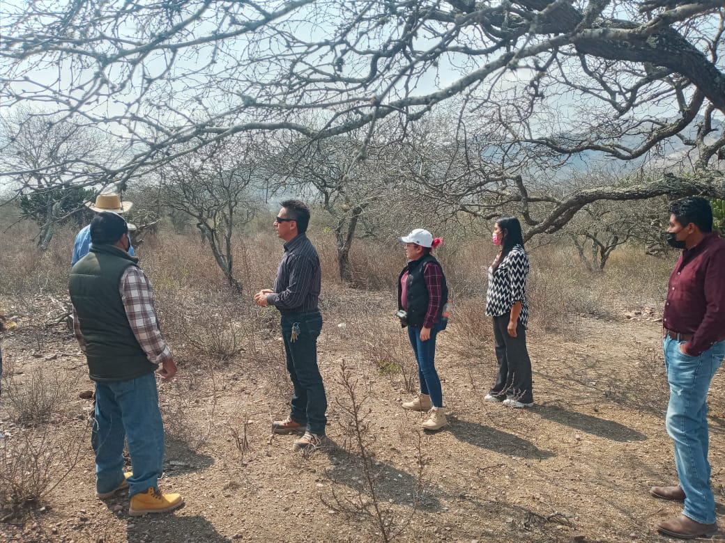 UTMZimapan's tweet photo. Agradecemos al Dr. Luis Díaz Batalla, de la #UPFIM, el acompañamiento a docentes de la #UTMZ, en el Recorrido de reconocimiento de las poblaciones de mezquite en Zimapán, como parte de la colaboración en la búsqueda de alternativas para el desarrollo regional sustentable. https://t.co/IRW4YFzsX5
