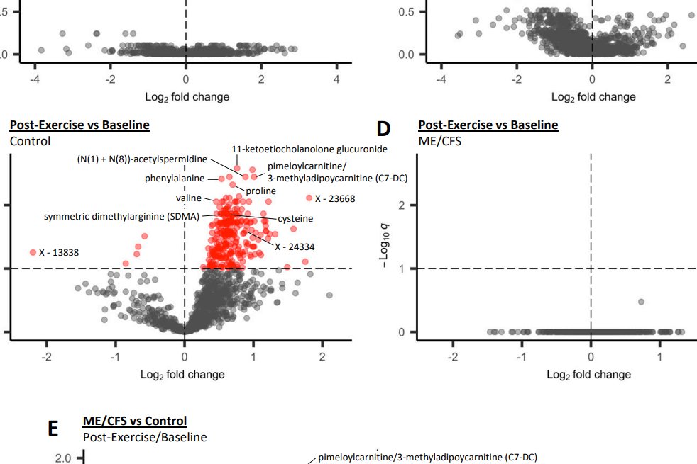chydorina's tweet photo. Look at the panel on the Left (healthy controls) and then look at the one on the Right (#MECFS). 

This is what DOESNT happen when #MECFS exercise (almost everything). 

There is no normal 'stress' response https://t.co/agOPEN5tfv