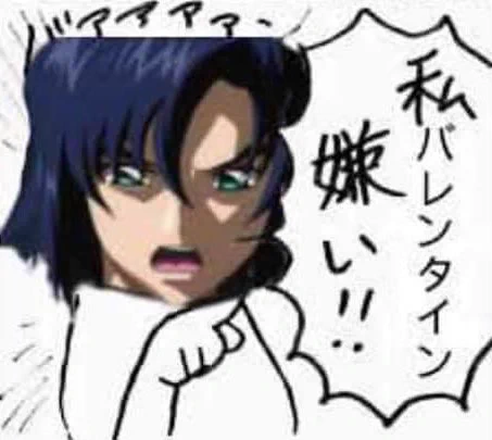 こら!アスランくんの気持ちを考える! 