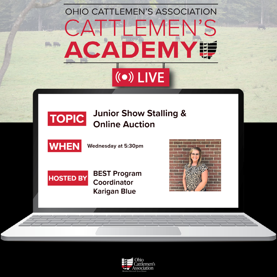 This Wednesday, February 15, at 5:30 pm, Karigan will discuss Junior Show Stalling and the Online Auction for the Ohio Beef Expo. Join Via Zoom: us02web.zoom.us/j/81342799510 #OBE #ohiobeefexpo