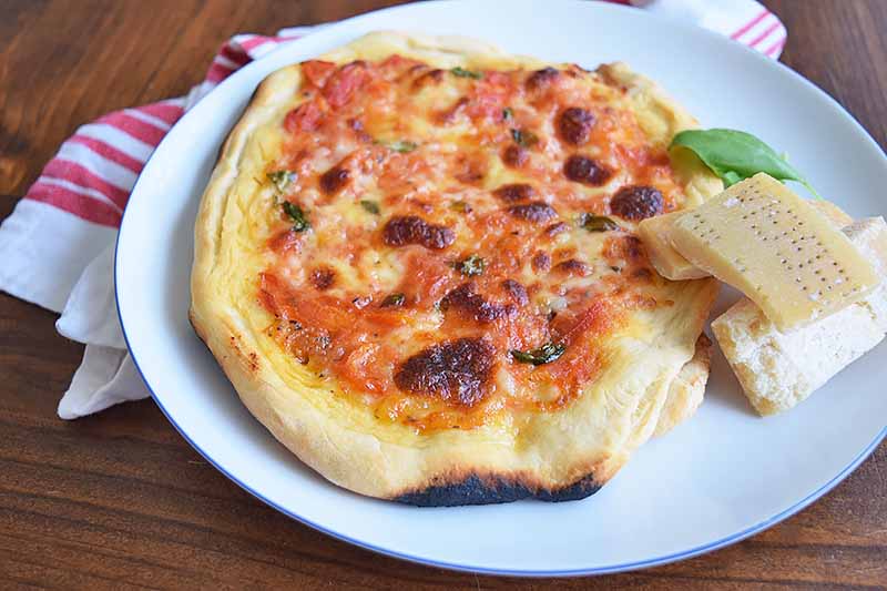 FoodalBlog's tweet image. Neapolitan-Style Pizza Crust: Thin, Chewy, and Delicious! 🍕 &amp;gt;&amp;gt;&amp;gt; foodal.com/recipes/pizzas… #pizzadough