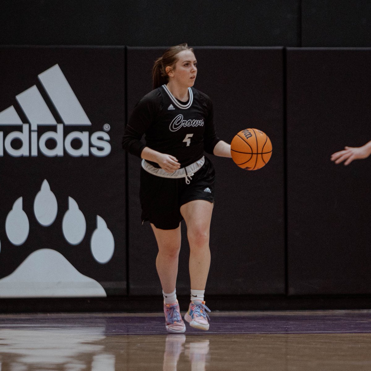 📸Senior Day Snaps📸
<a href="/joaoboente/">João Boente</a> 

🐻‍❄️ #GoPolars #ncaad3 #hoops
