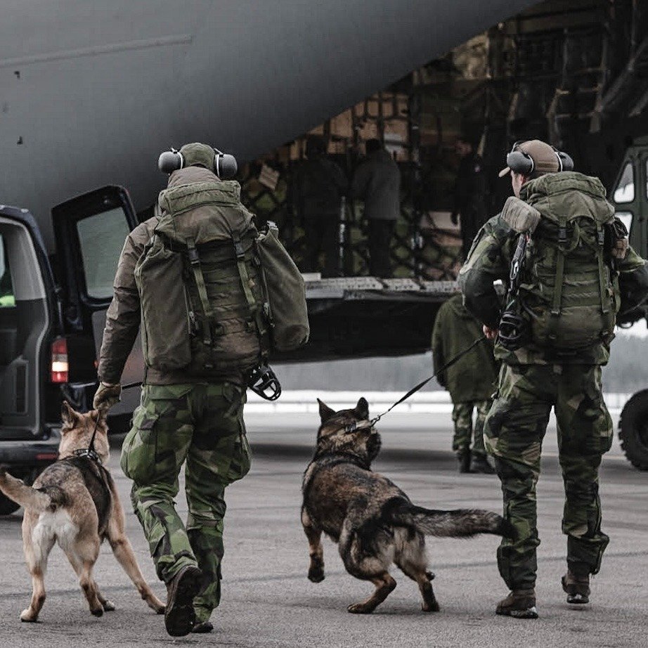 We stand in strong solidarity with our Ally Türkiye 🇹🇷 

Thousands of emergency personnel from more than 20 #NATO Allies and 30 partners, including Finland and Sweden, are providing assistance to help save lives following the devastating earthquakes