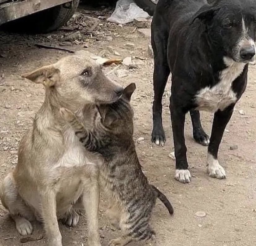 Bu iki fotoğrafa kalbimi bıraktım 🥲🤍