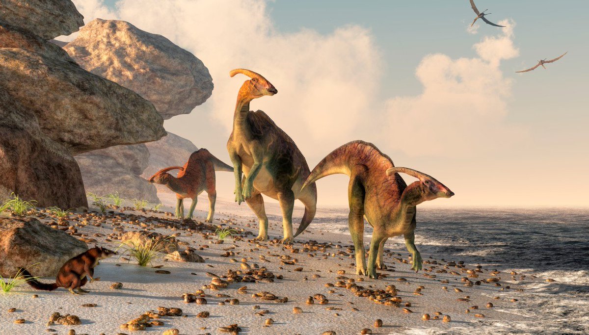 WorldKnownledge's tweet photo. Thread : L'apparition et l'extinction des dinosaures. 

Ce thread a été plutôt long, merci d'avance à tous ceux qui le partageront 😁 https://t.co/XSMaiCoCHO