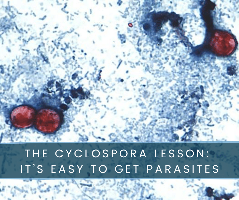 ElizabethYarnel's tweet photo. What we’re learning from the outbreak of cyclospora parasites in the U.S. is that even if we live in modern society, we are still susceptible to parasitic infections. https://t.co/WntUhIEFFH

#Parasites #Health https://t.co/M64PU44mpQ