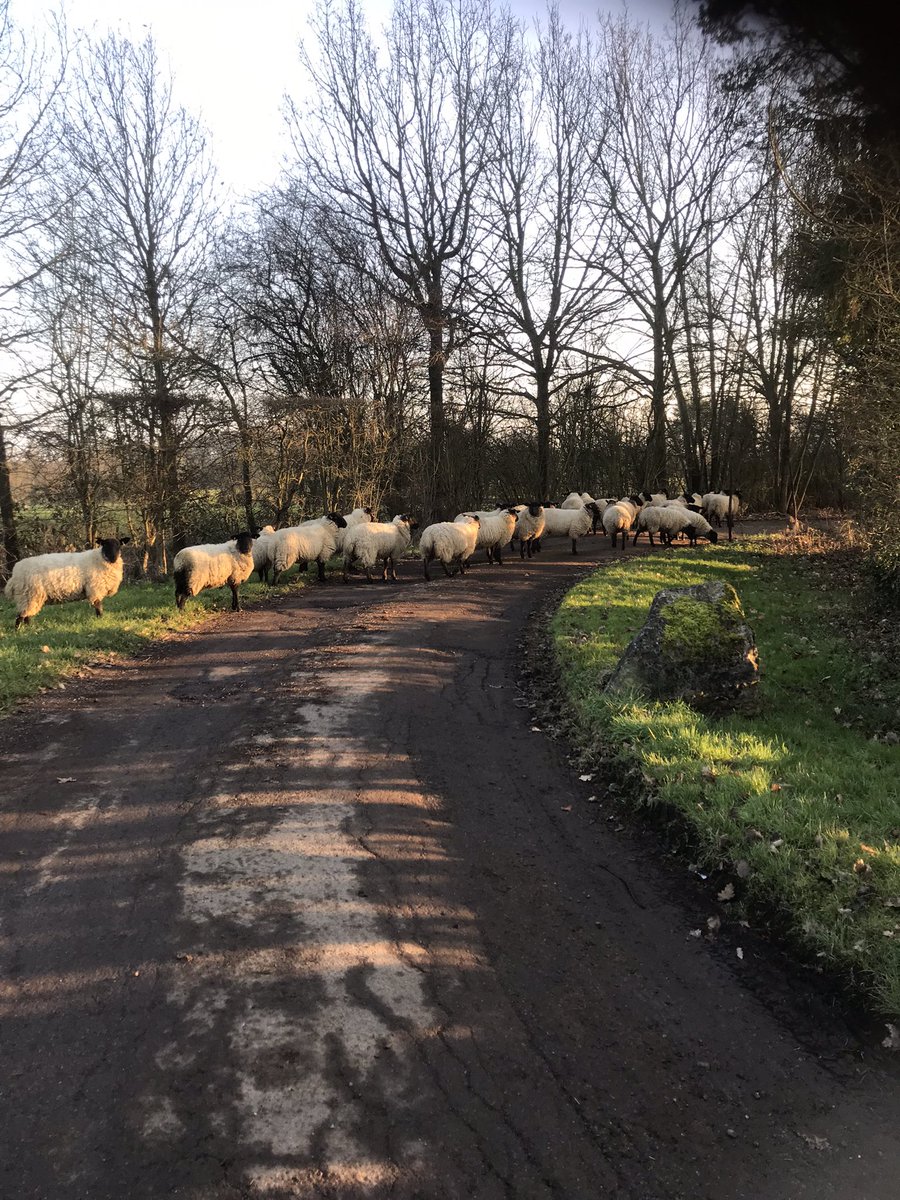 Alan day tweet media