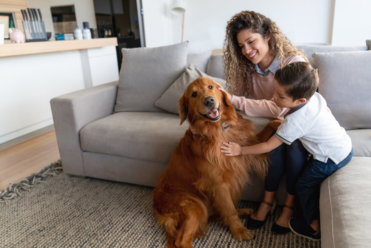 CDC_NCEZID's tweet photo. Don’t forget to give your pet some extra love this Valentine’s Day! Practicing healthy habits, like washing your hands after playing with or feeding your pet, can keep you both safe from germs.   
Learn more: https://t.co/kIIjtABHUz  #AntimicrobialResistance https://t.co/mncShjWA6l