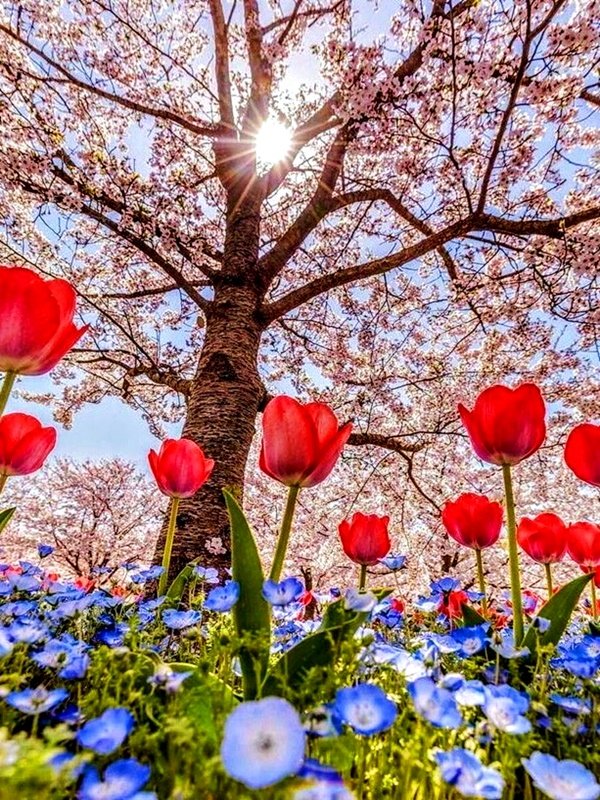 ℭristiαne ❀ tweet media