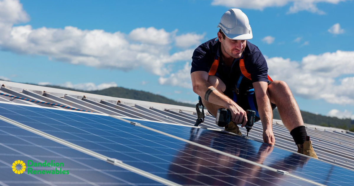 Dandelion Renewables tweet media