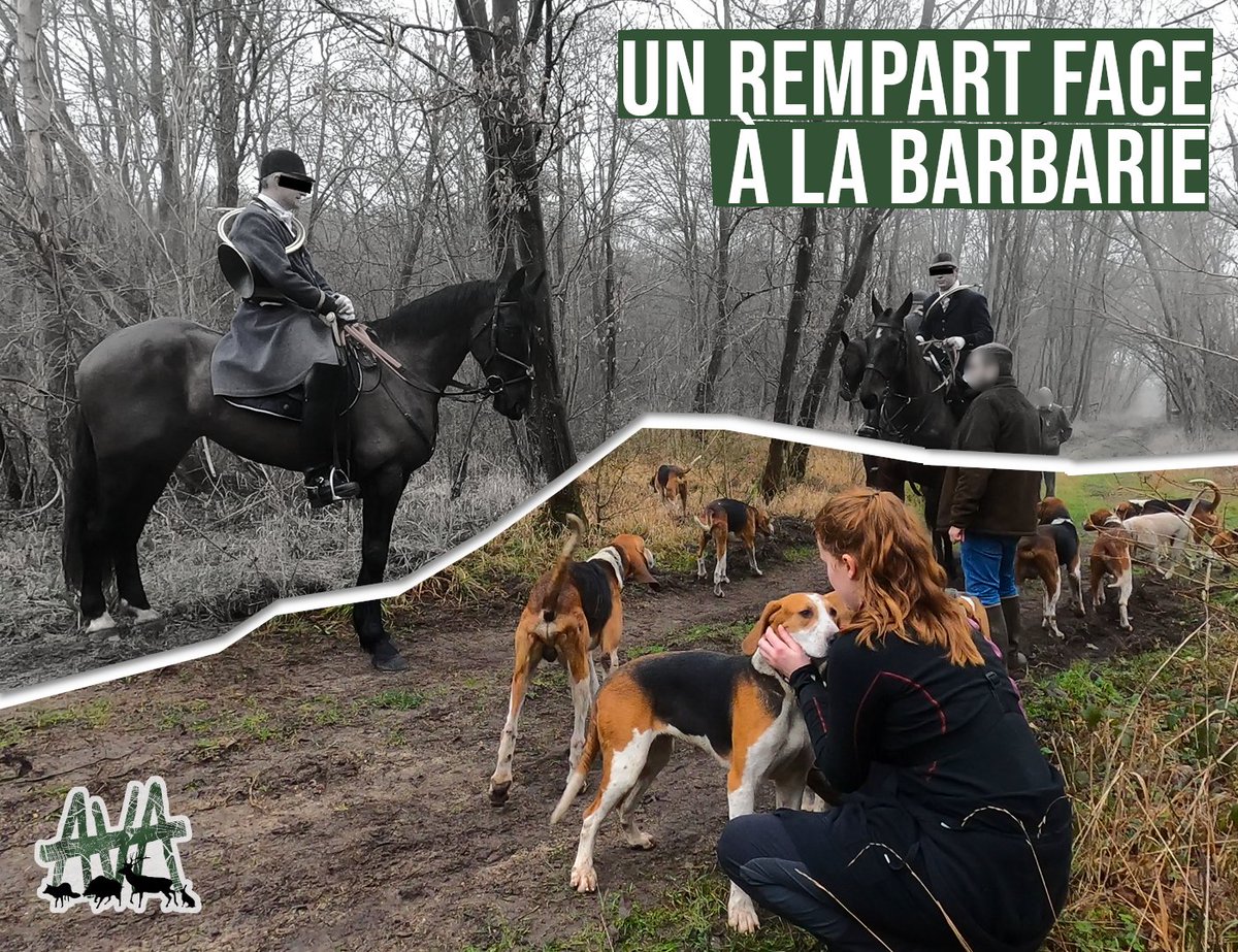 AVA France tweet media