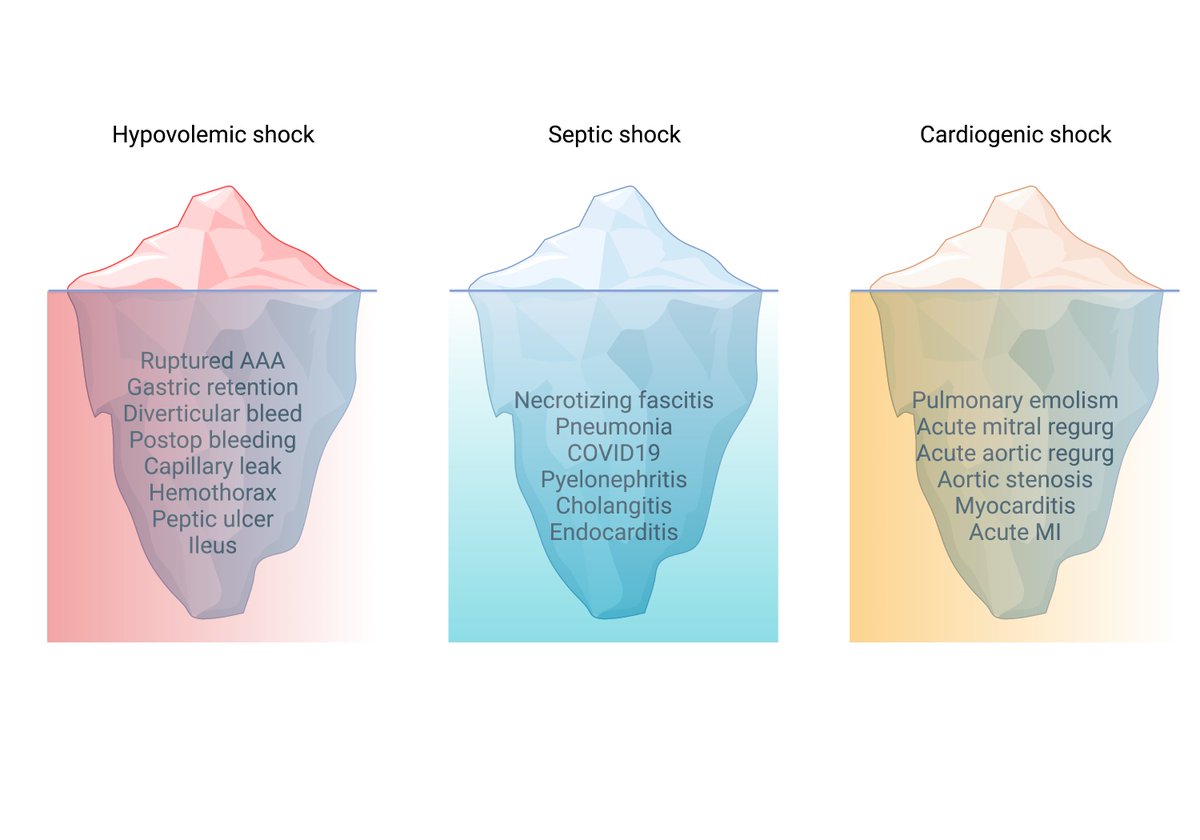 5 cognitive fallacies in hemodynamic management 🧵
1⃣We think there are 4 categories of shock
2⃣We se...