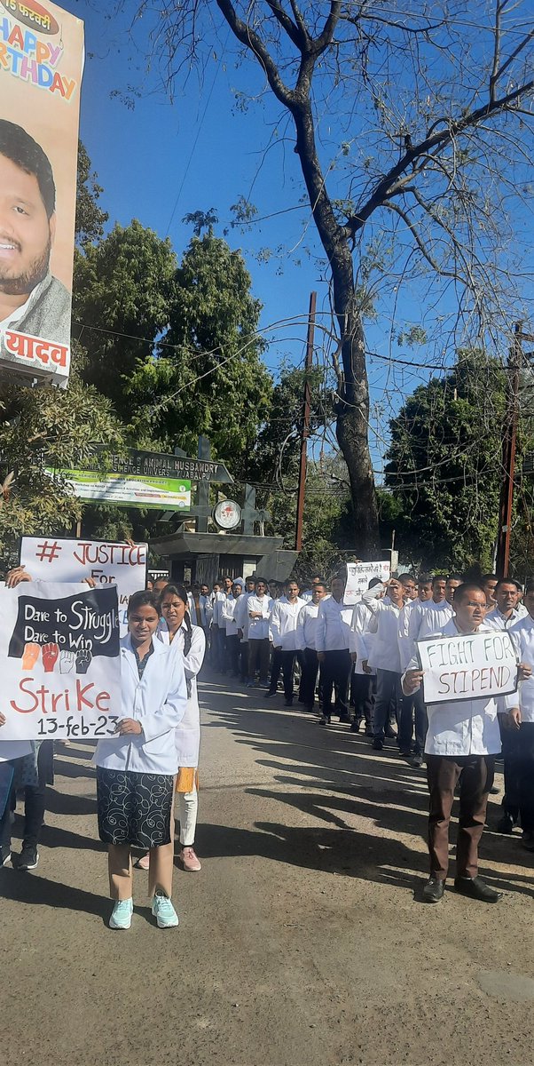 shraddha_sengar's tweet photo. #increaseMPvetStipend
@aajtak
@zeenews
@OfficeofSSC
@presidentVCI
@governorMP
@RewaCollector
@mpdahd
@News18MP
@BJP4India
@INCIndia
@ABVPMB
@NSUIMP
@MLApremsinghBJP
@presidentVCI
@DrMohanYadav51
@GovernorMP
@ChouhanShivraj
@CMMadhyaPradesh 
@drsanjeevbalyan
@Girish_gautammp https://t.co/AZqFScn3Tj