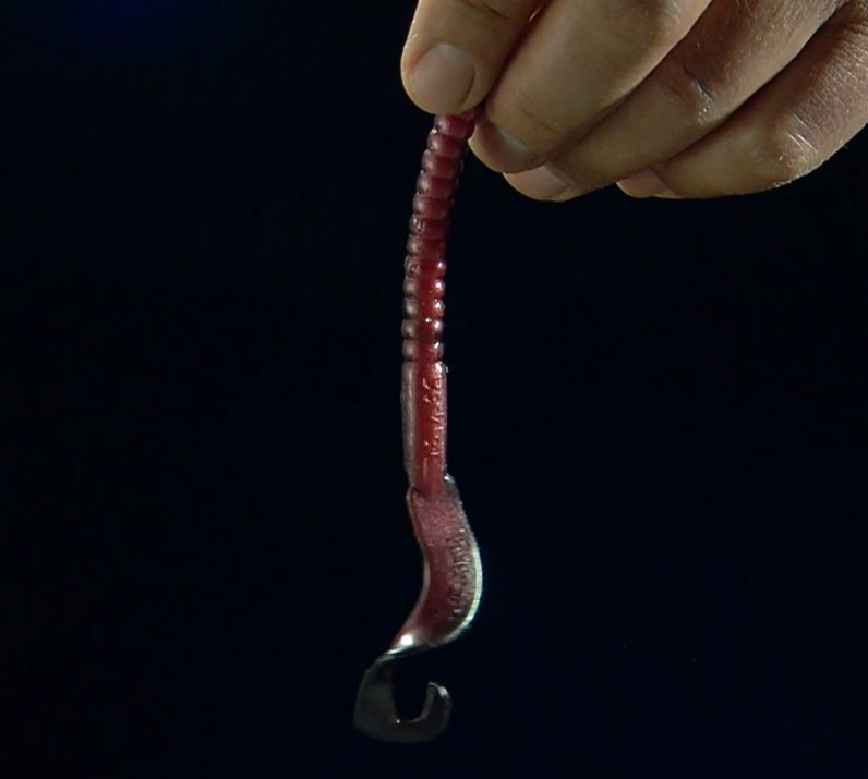 OUTDChannel's tweet photo. .@BerkleyFishing's Manager of Fish Science and Bait Testing, Mark Sexton, talks about one of the most popular and long-standing PowerBait profiles, the Power Worm. See the latest episode of Lab to Lake at https://t.co/rUZ3uZZSEC.
#PowerWorm #Fishing #PlasticWorm #BassFishing https://t.co/KTI9IDHAXw