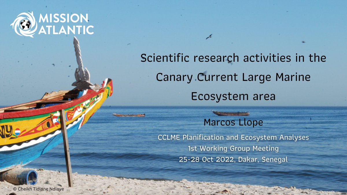 MISSIONATLANTIC's tweet photo. Scientific Research Activities in the Canary Current Large Marine Ecosystem Area
🇫🇷 in french
▶️ https://t.co/w0uGhSczPC
#AtlanticAll #CCLME #Dakar #CanaryCurrent https://t.co/JMIIRrs0zz