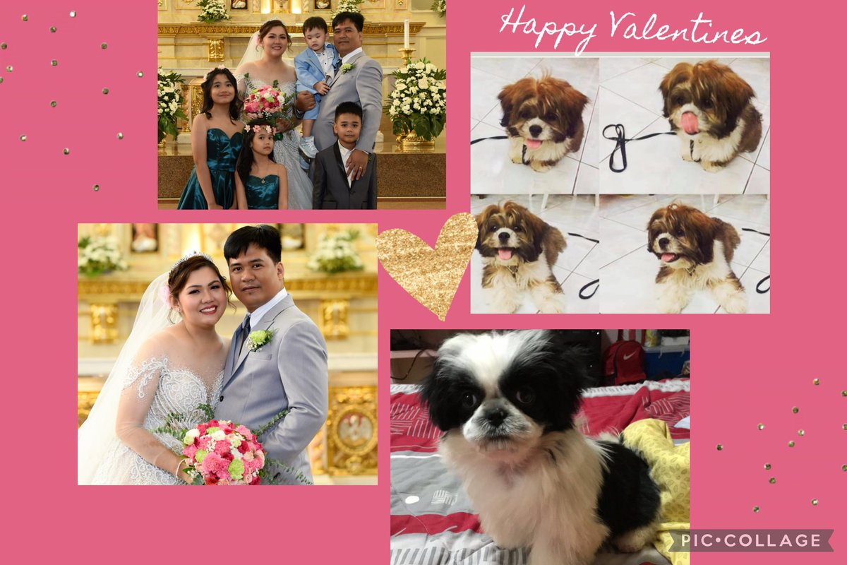 mavscalidguid's tweet photo. My Faith in God and my family highlights the value of my Valentine’s Day. Sending love to all. ❤️🥰 #happyvalentinesday from The D-Fam 💕 https://t.co/54RS7NrAJm
