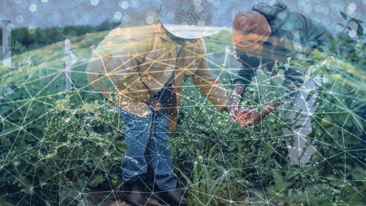 🧵Get the scoop on the future of food! 

Learn how #Blockchain is revolutionising the #FoodIndustry w/ increased transparency, reduced waste &amp; food fraud, &amp; a push towards #sustainability. Read our latest article now! 🍔

Article below ⬇️