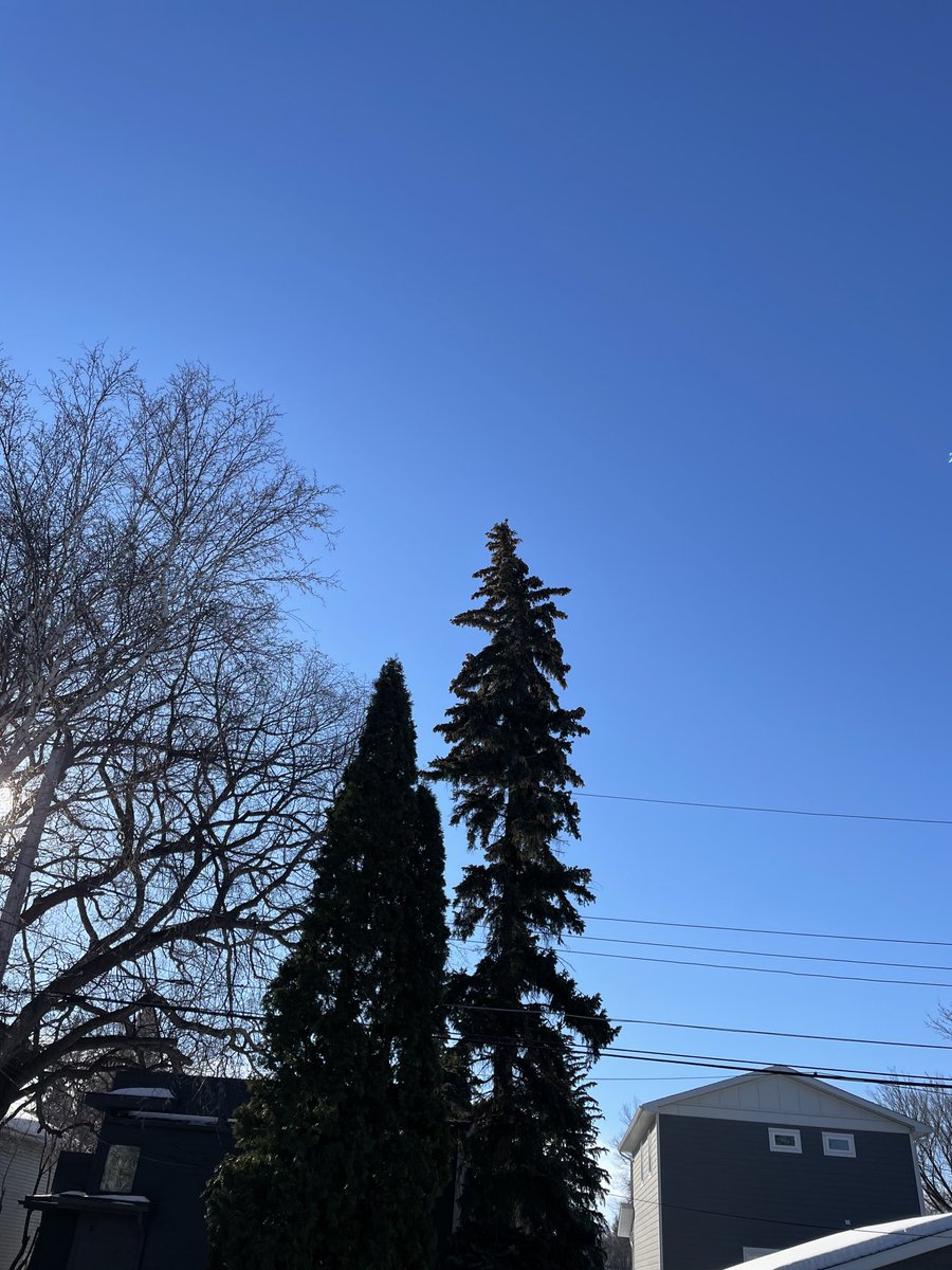 ballantyneart's tweet photo. To all people that never see the sun for weeks on end , this is what we see nearly everyday.. #stillsnow #stillcool #stillhappy #beautifulSaskatchewan https://t.co/SxmIk8L9KO