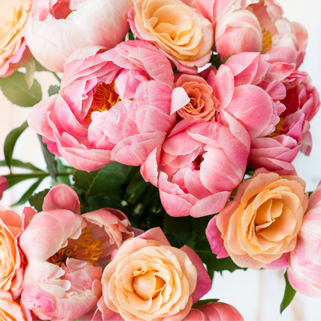 WoodsofWindsor_'s tweet photo. Only a few days left until Valentines!
Our True Rose EDT is our top pick.
Find a last minute gift today and get a 1/3rd off site-wide. Shop via https://t.co/73MWj5pPDD
#Woodsofwindsor #Britishbeauty #Veganbeauty #Valentinesday #valentinesgift #giftideas #giftsforher https://t.co/sg9x1eW7zv