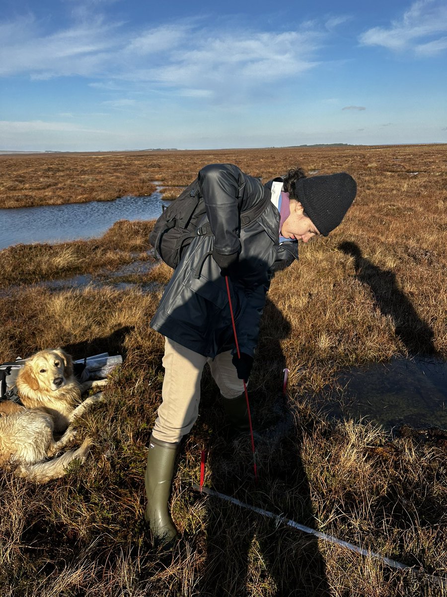 Great day for @ERI_UHI @UHI_NH intern Candice to spend @PlantlifeScot Munsary Reserve learning peatland monitoring techniques!