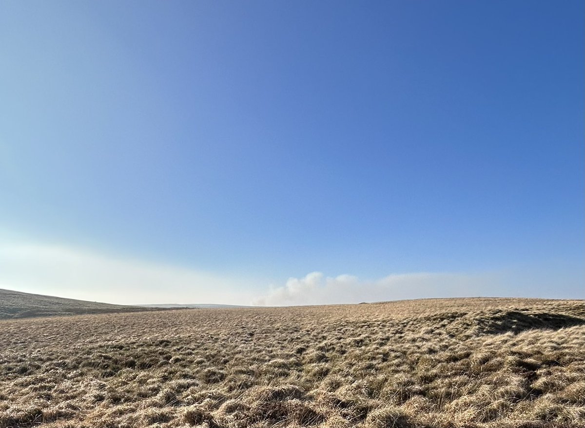 BirderSecret's tweet photo. Another day, another burn on Strines (also another maybe Stanage way) with #Sheffield completely obscured. I have a friend whose young son has just spent 2 days in hospital with asthma, surely there are public health implications @SheffCouncil ? @MoorlandMonitor @burningmoors https://t.co/jFuPkGrb64
