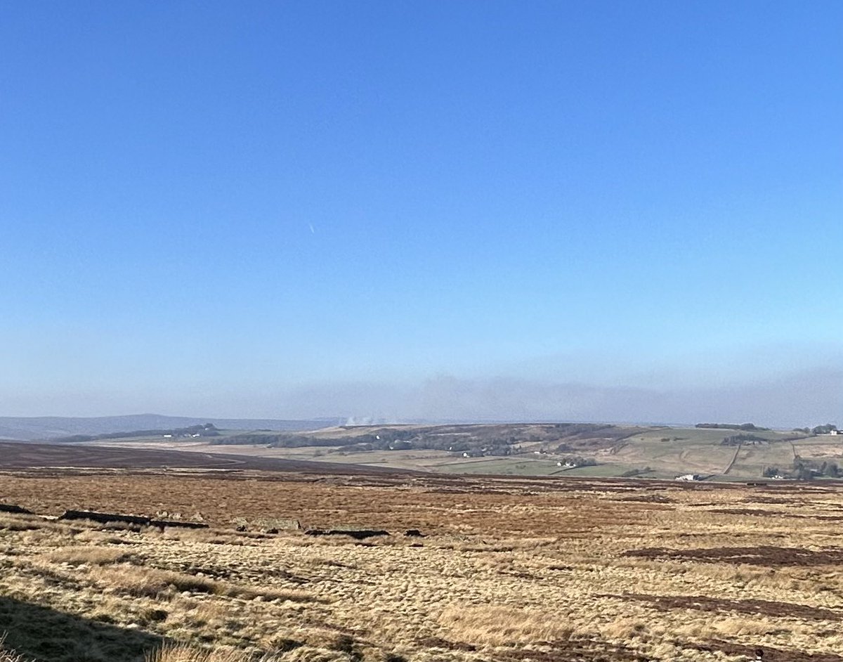 BirderSecret's tweet photo. Another day, another burn on Strines (also another maybe Stanage way) with #Sheffield completely obscured. I have a friend whose young son has just spent 2 days in hospital with asthma, surely there are public health implications @SheffCouncil ? @MoorlandMonitor @burningmoors https://t.co/jFuPkGrb64