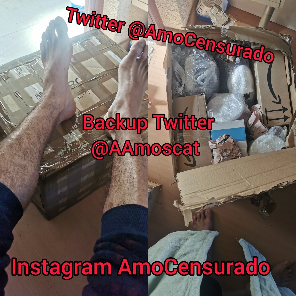 AAmoscat's tweet photo. Pedazo de puto Regalaco que me ha enviado mi syssy emperatriz 😎ella farda de Amo y yo de tener a esta puta debajo mía😝 🖕🏽
#FinDom #CashMaster #SpanishMaster #str8dom #AlphaMaster #spanishFindom
@BDSMPromocion @PromoRTpig @AlphaMaleRT @findomhome @findominfluence @FindomRT8 https://t.co/cTC5yCIgz7
