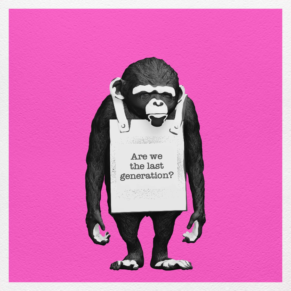 PhyscalGraffiti's tweet photo. Start monkeying around! 
We're giving away 100 Standard packs to 100 lucky winners 🙈 
Enter to win! 
https://t.co/UGpAlcMsAG

#NFTs #NFTGiveaway #NFTart #NFTcommunity #nftcollector #nftartist #digitalart #nftcollectors #blockchain #nftdrop #nftcollectibles #nftartwork https://t.co/jnoDKLEeBf