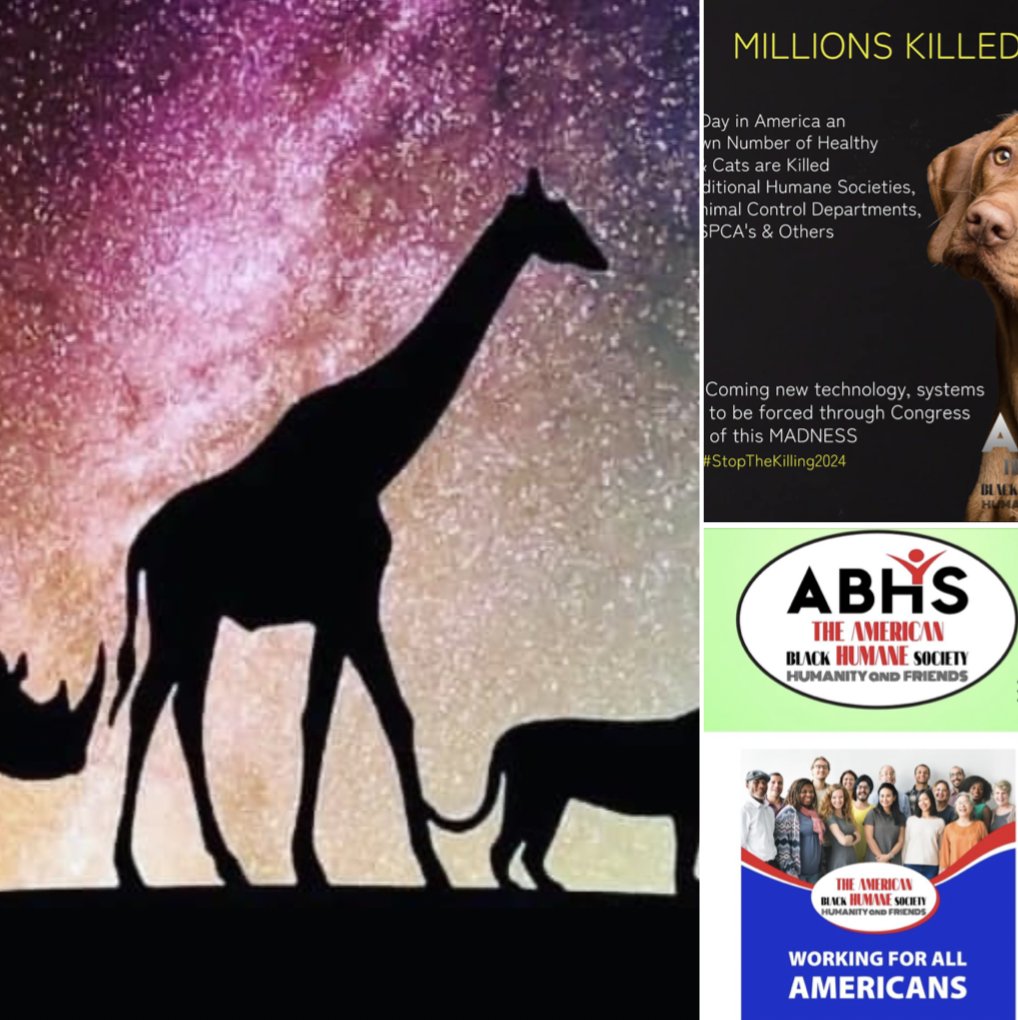 GourmetfoodGirl's tweet image. The American Black Humane Society is developing a new #AIsystem to protect the world&apos;s precious #wildlife from poachers. Coming soon!