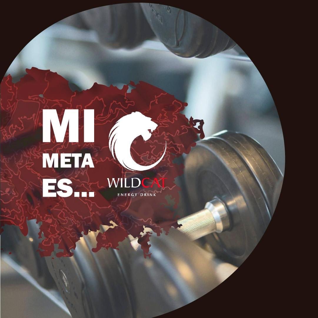 WildCatMexico's tweet photo. ¿Cuál es tu meta del mes? Querémos escucharte 😄, #WildCatEnergyDrink espera poder llegar a tí cuando más necesites esa energía extra para todo el día 💪 ¡Sea cual sea siempre será importante para nosotros! #Poderfelino #Mexico https://t.co/SfQ1UqkwQ9