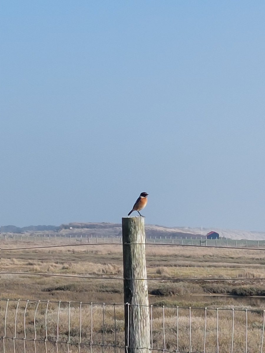 Rye Nature Reserve on the brightest day. Such a lovely walk with <a href="/karleburford/">Karle Burford</a>