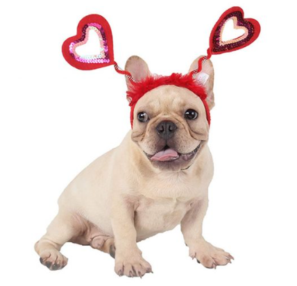NatchezVet's tweet photo. Are you dressing your fur baby for Valentine's Day? Please share photos of your cuties here on the Natchez Trace Veterinary Services page.

#love #furbaby #valentines2023 #dog #cat https://t.co/rDo7NERedt