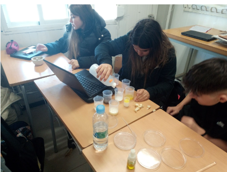 InsOlimpia's tweet image. Presència de lípids als aliments.
Estudiem la nutrició i alimentació saludable.

#alimentació #menjarsaludable #ciències #nutrients #lípids #3rESO

A 3r s'ha estudiat la nutrició i alimentació saludable. Ara comprovarem la presència de lípids en els aliments.
