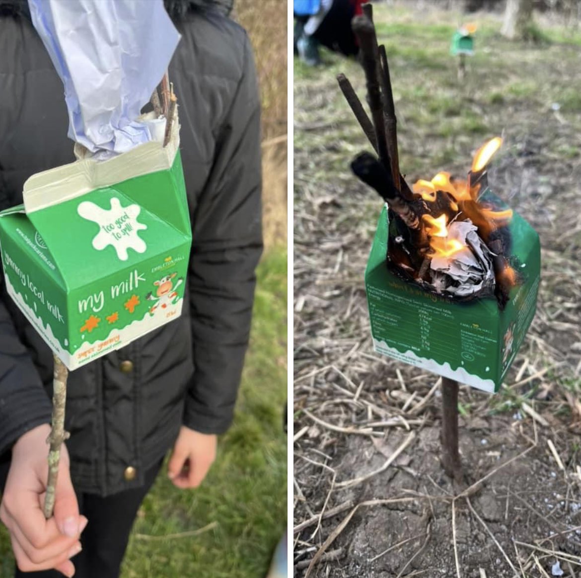 Making beacons after “Milk time”! filling the carton with hay and sticks and paper, and the carton that burns completely is the winner. 29 kinds took part and 9 cartons burned totally, all burned partially #outdoorlearning #Schoolmilk